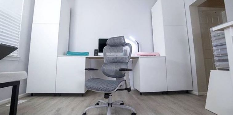 Smug Desk Executive Office Chair