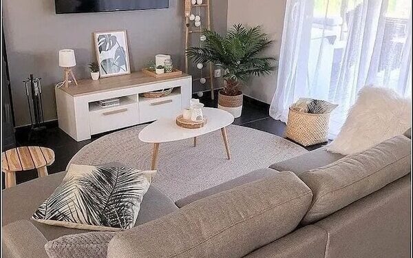 the small living room