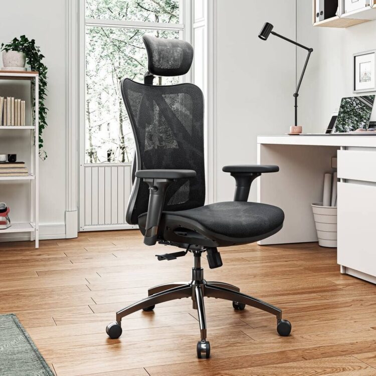 Top 6 Best Ergonomic Office Chairs under 300 bucks - Don't have to ...